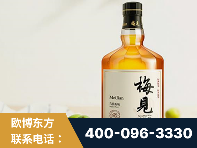 辽阳-梅见青梅酒