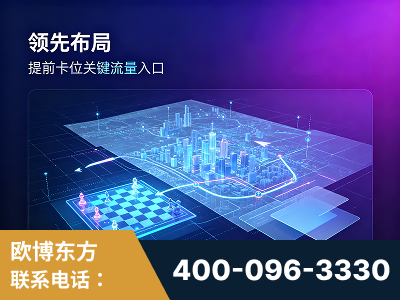 辽阳-领先布局：于2024年初开启GEO业务的公司